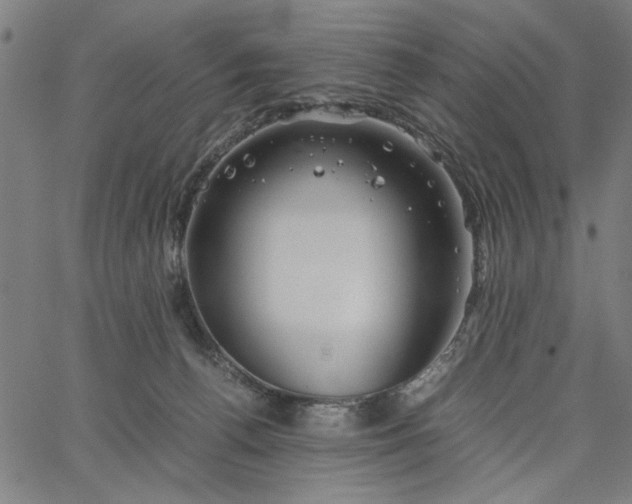 X0000065250176200603031812