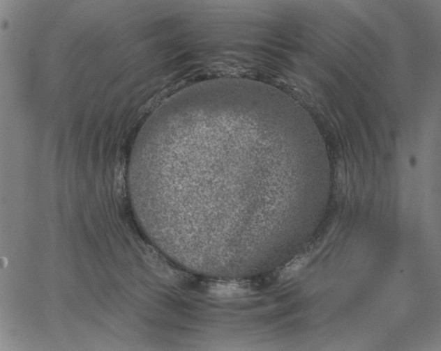 X0000065250177200603031812