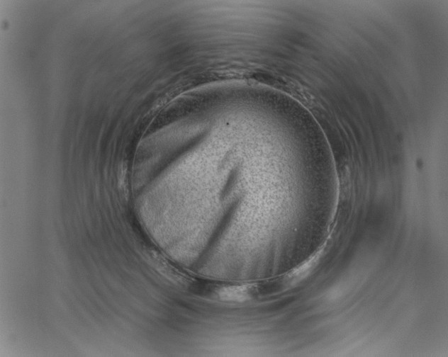 X0000065250178200603031812