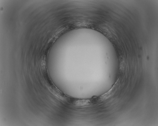 X0000065250179200603031812