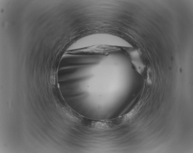 X0000065250180200603031812