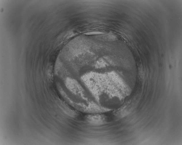 X0000065250181200603031812