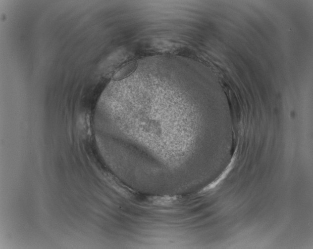 X0000065250182200603031812