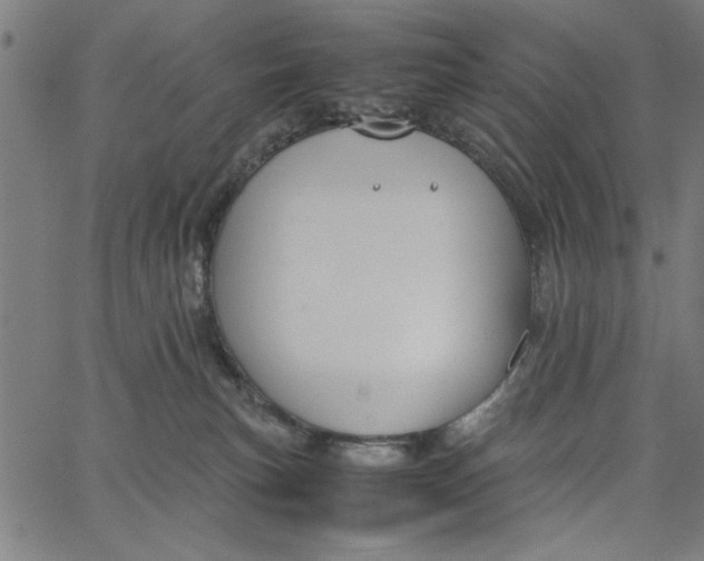 X0000065250183200603031813