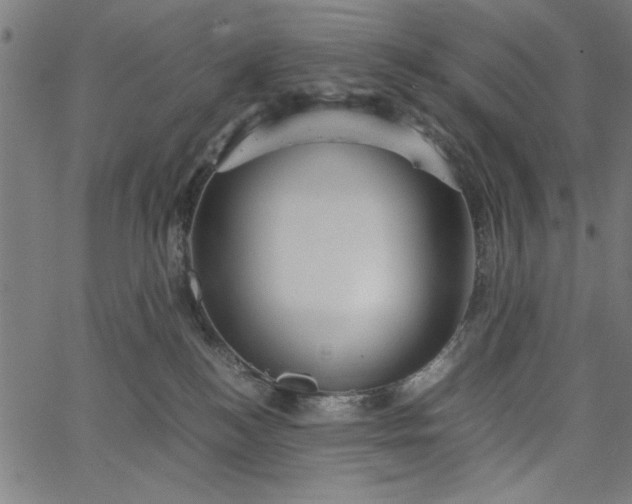 X0000065250184200603031813