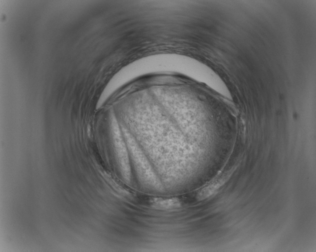 X0000065250185200603031813