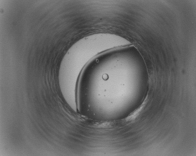 X0000065250186200603031813