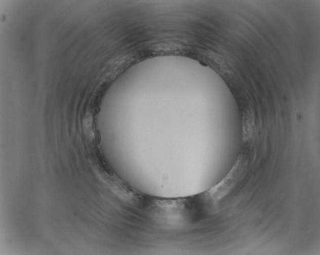 X0000065250187200603031813