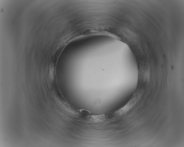 X0000065250188200603031813