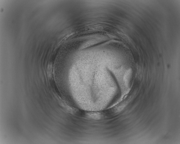 X0000065250189200603031813