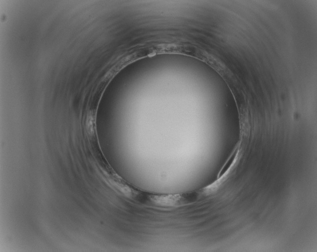 X0000065250191200603031813