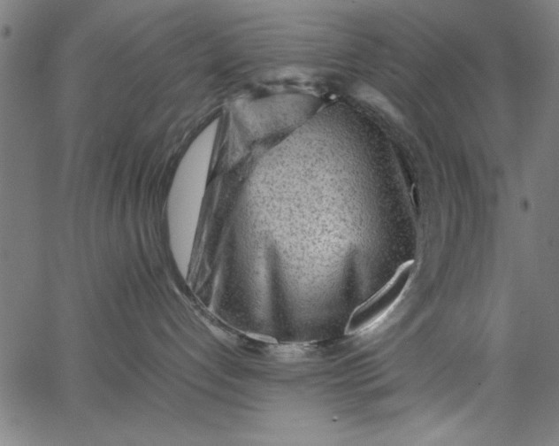 X0000065250192200603031813