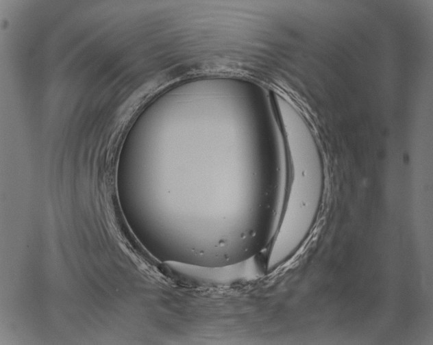 X0000065250193200603031812