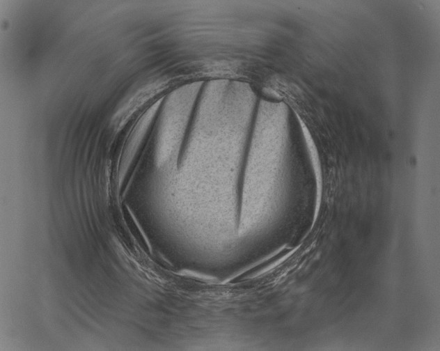 X0000065250194200603031812