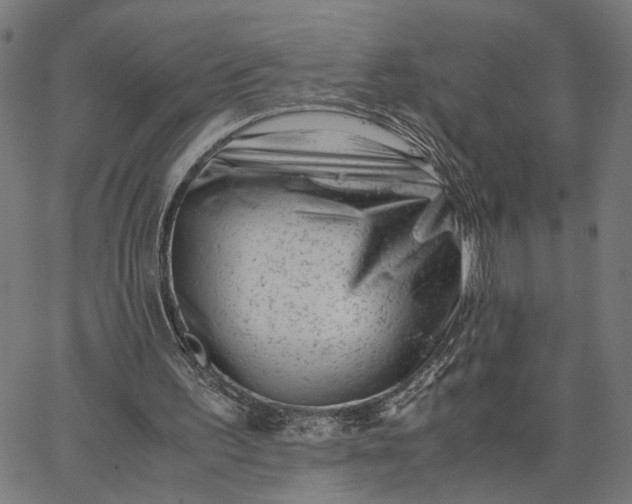 X0000065250195200603031812