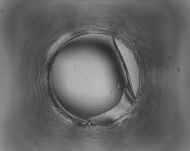 X0000065250197200603031812