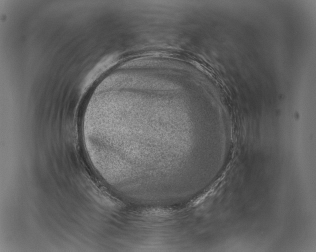 X0000065250198200603031812