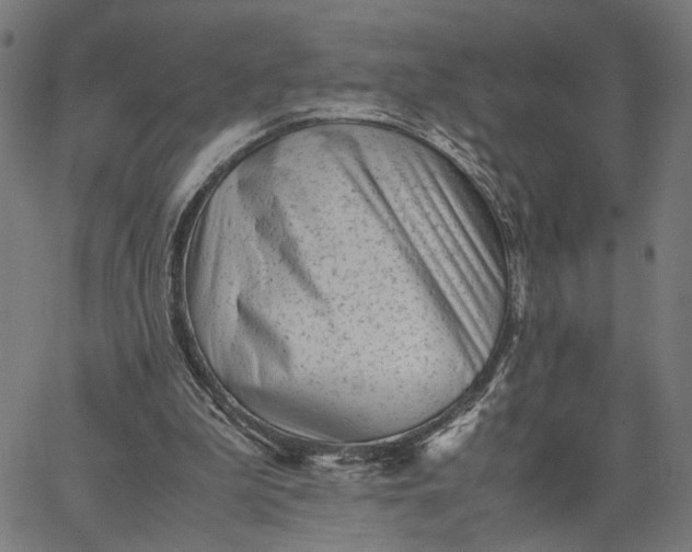 X0000065250199200603031812