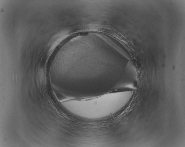 X0000065250200200603031812