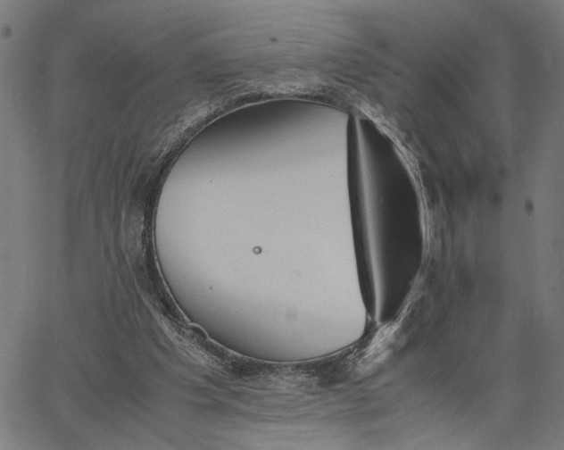 X0000065250201200603031812