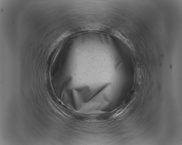 X0000065250203200603031812