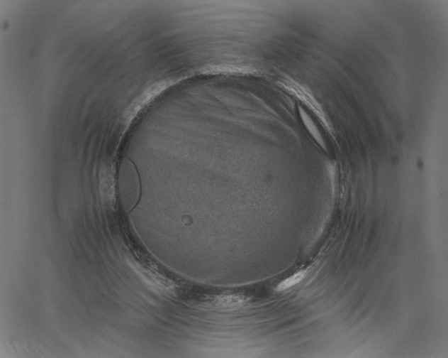 X0000065250204200603031812