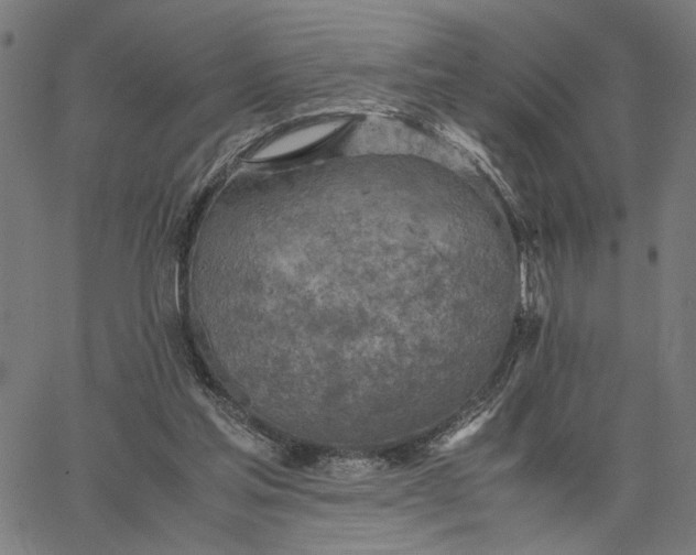 X0000065250205200603031812