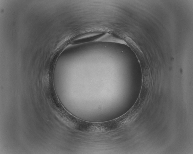 X0000065250207200603031812