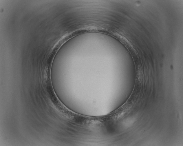 X0000065250208200603031812