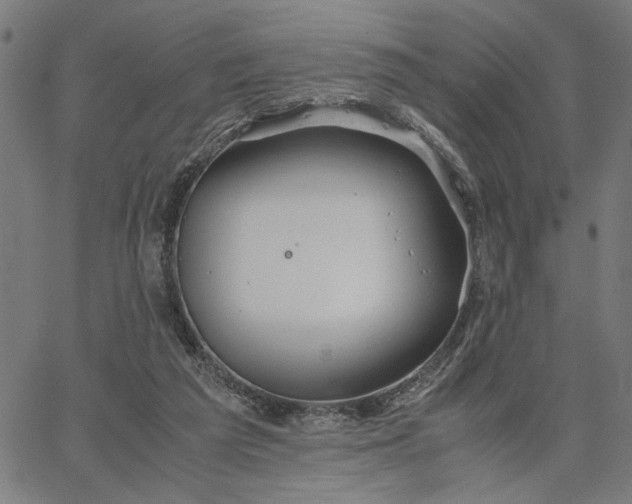 X0000065250209200603031812