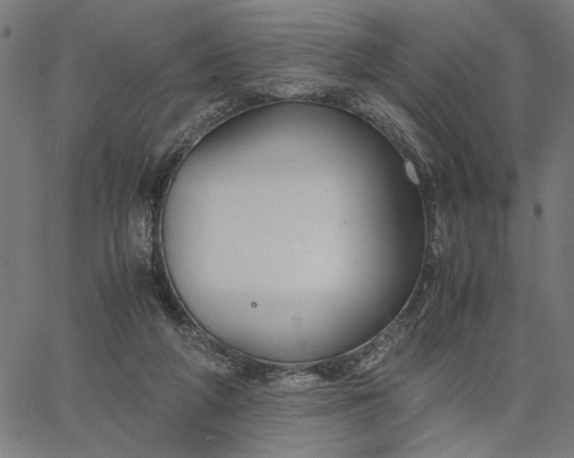 X0000065250210200603031812