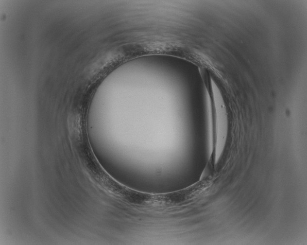 X0000065250211200603031812