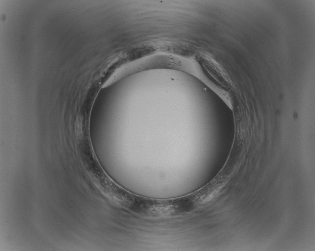 X0000065250213200603031812