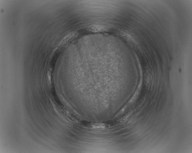 X0000065250214200603031812