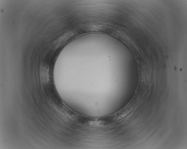 X0000065250216200603031812