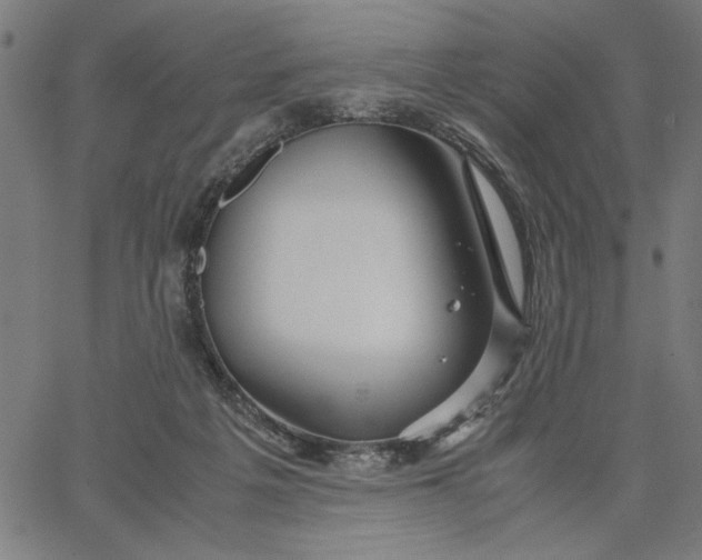 X0000065250217200603031811