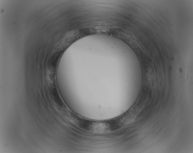 X0000065250218200603031811