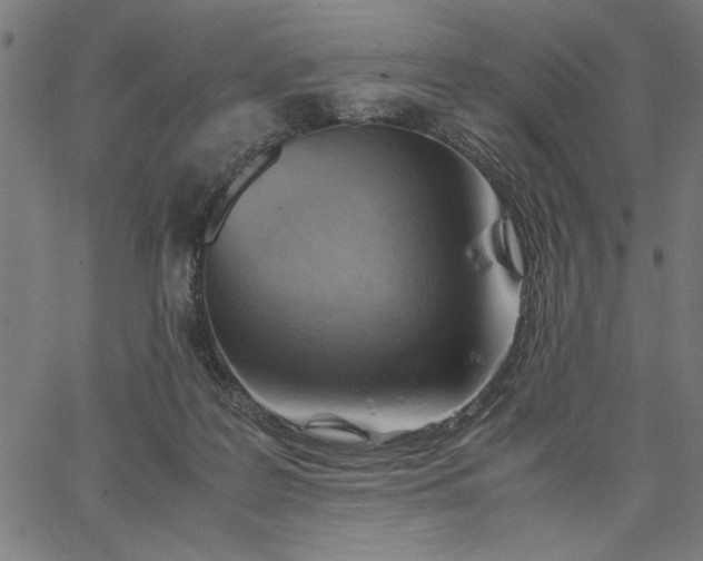 X0000065250219200603031811