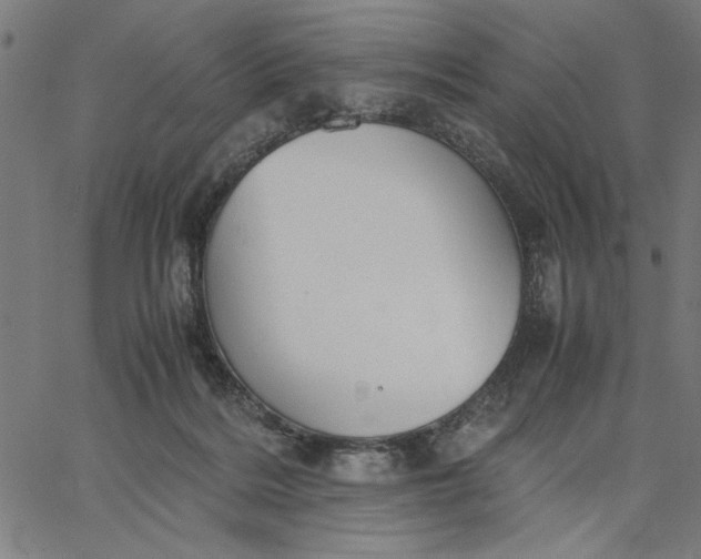 X0000065250220200603031811