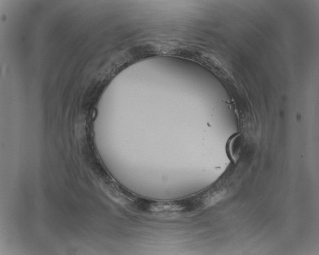 X0000065250221200603031811