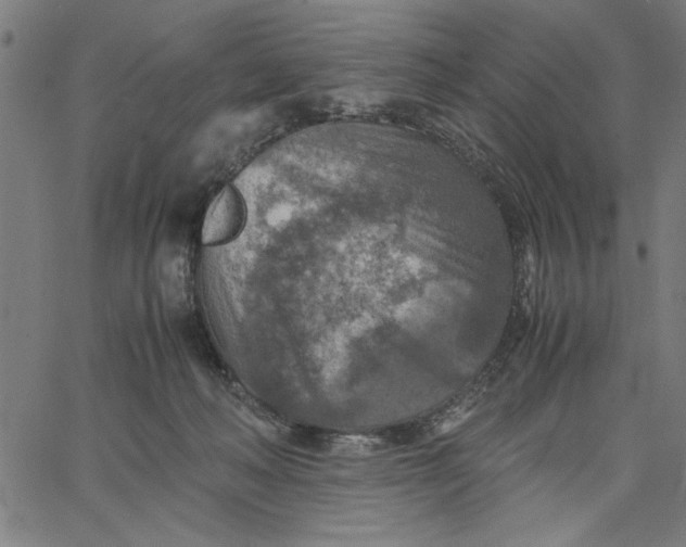 X0000065250222200603031811