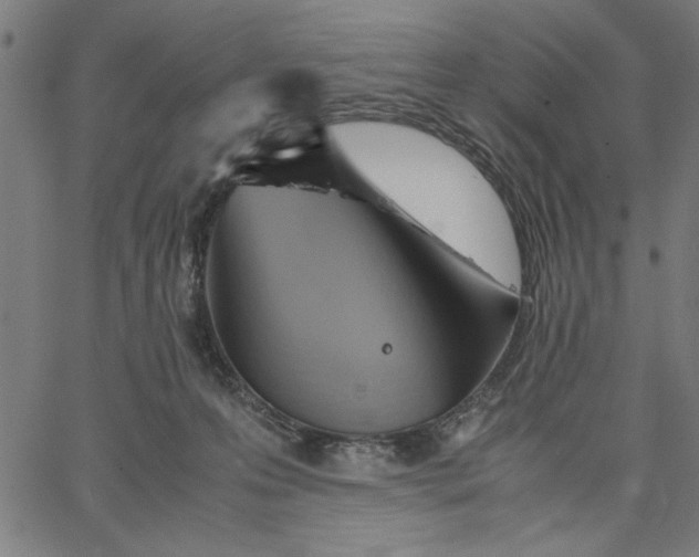 X0000065250223200603031811