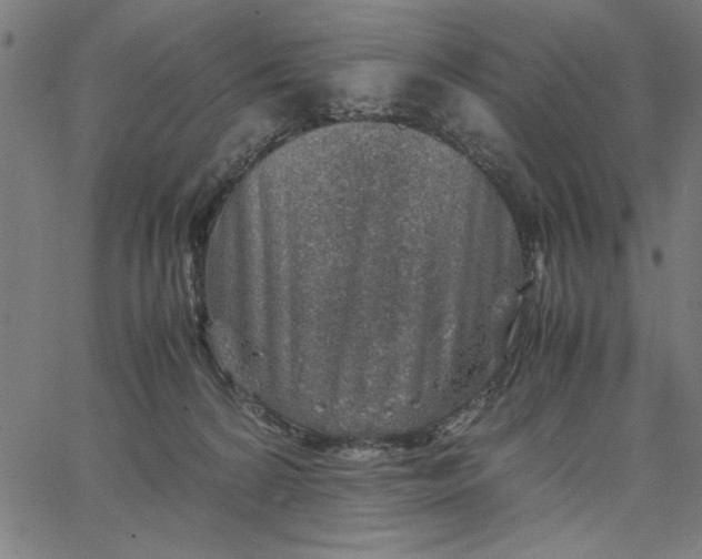 X0000065250224200603031811