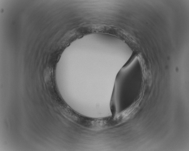 X0000065250225200603031811