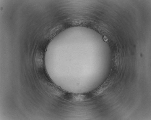 X0000065250226200603031811