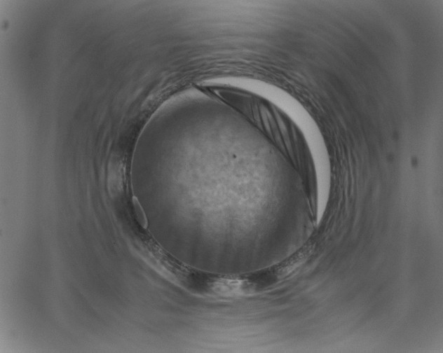 X0000065250227200603031811