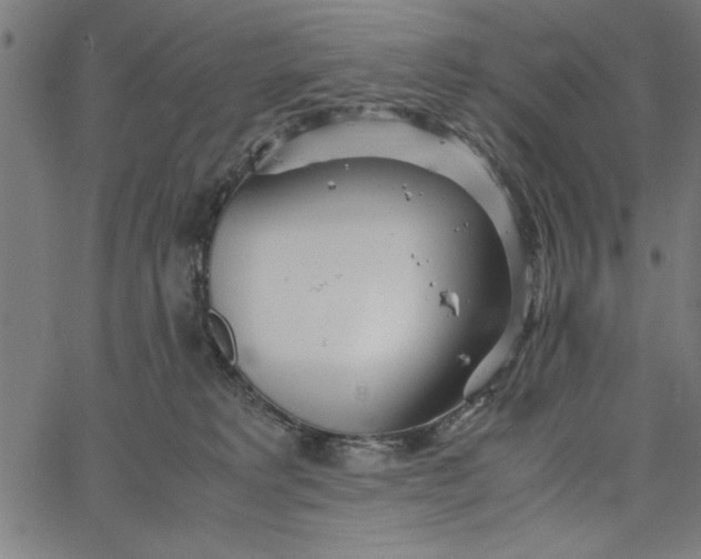 X0000065250229200603031811