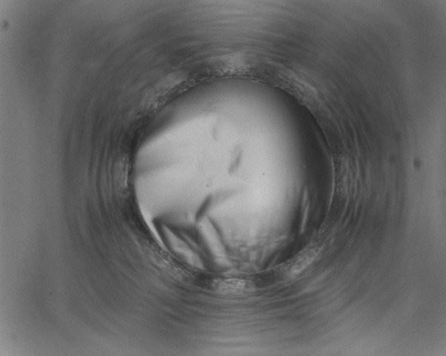 X0000065250230200603031811