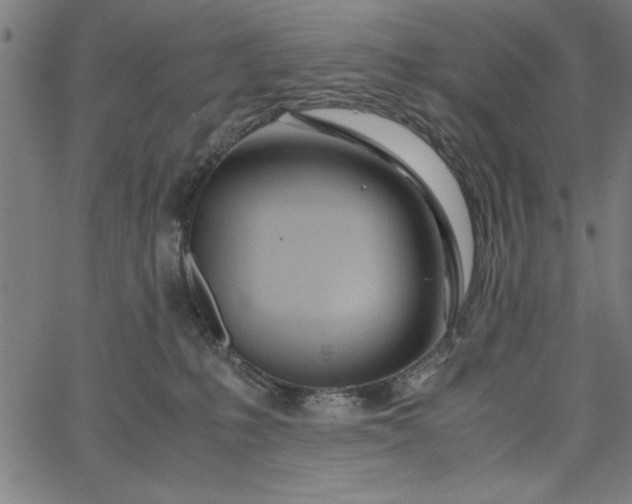 X0000065250231200603031811