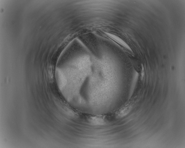 X0000065250232200603031811